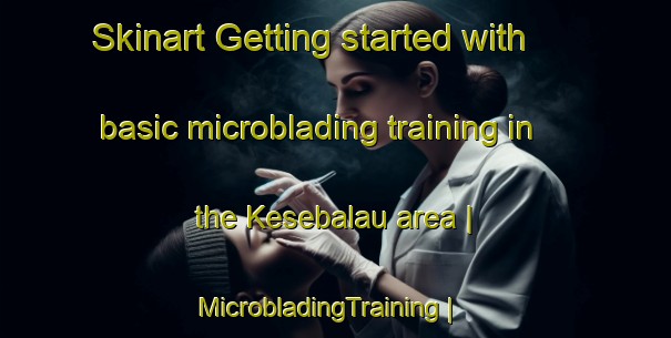 Skinart Getting started with basic microblading training in the Kesebalau area | MicrobladingTraining | MicrobladingClasses | SkinartTraining-Palau